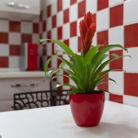 Pepigall Apartment Alghero